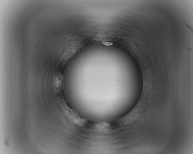 X0000100880576200806271141