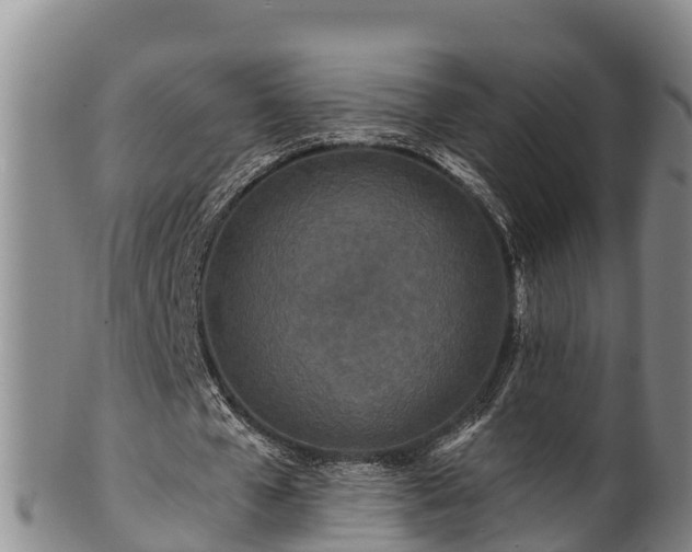 X0000100880577200806271140