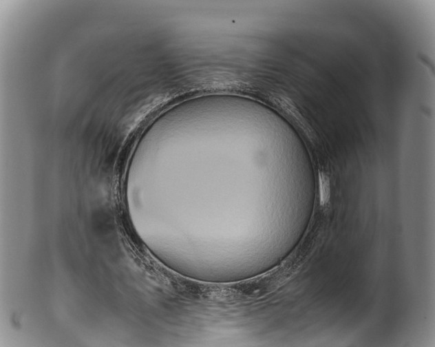 X0000100880579200806271140