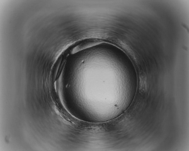 X0000100880580200806271140