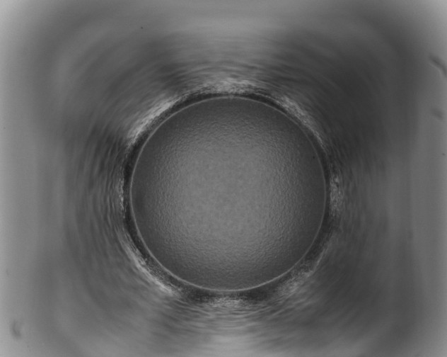 X0000100880581200806271140