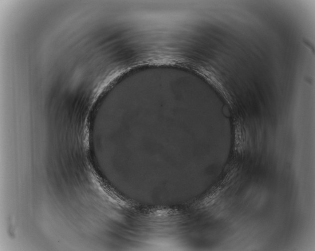 X0000100880584200806271140