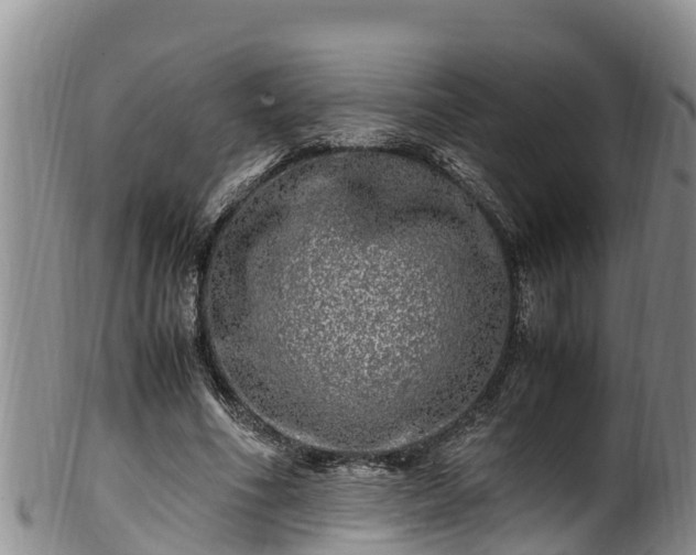 X0000100880586200806271140