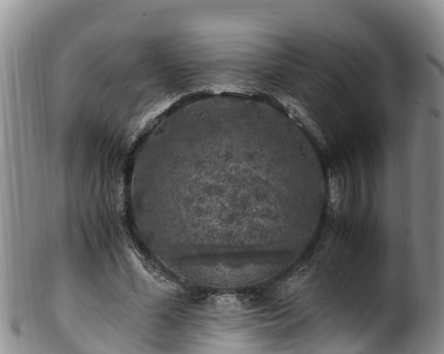 X0000100880588200806271140