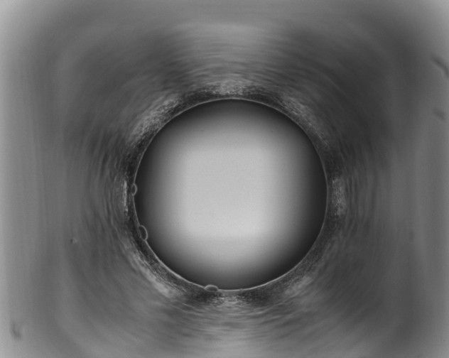 X0000100880589200806271140