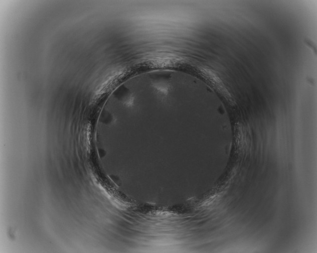 X0000100880590200806271140