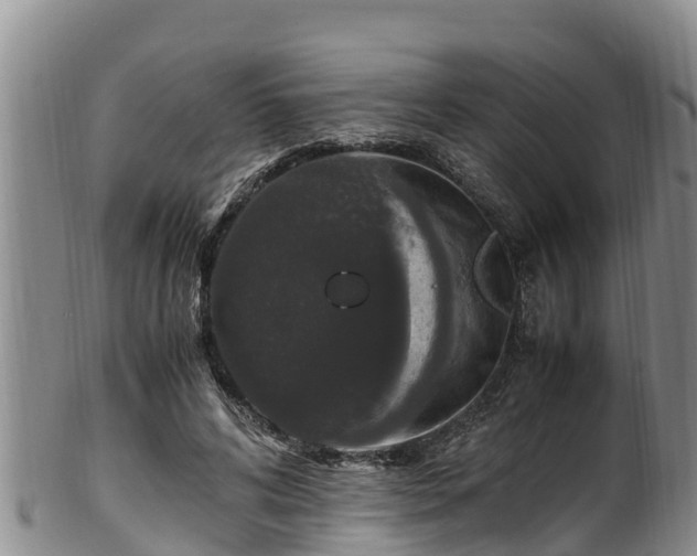 X0000100880592200806271140