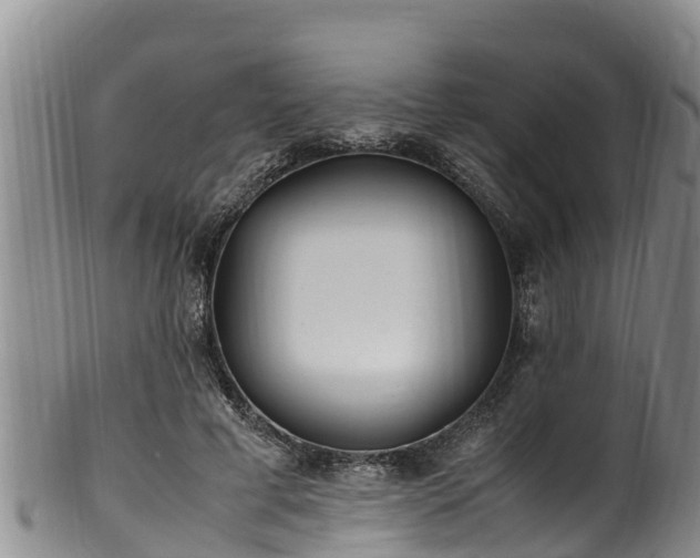 X0000100880593200806271140