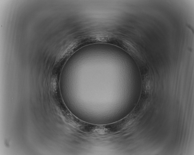 X0000100880595200806271140