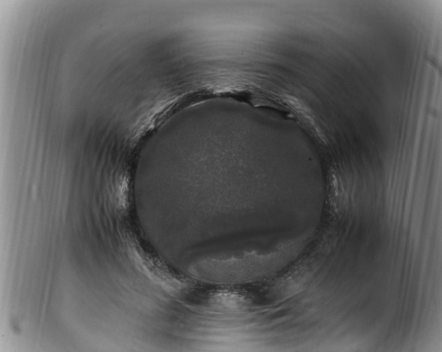 X0000100880596200806271139