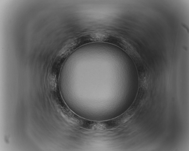 X0000100880599200806271139