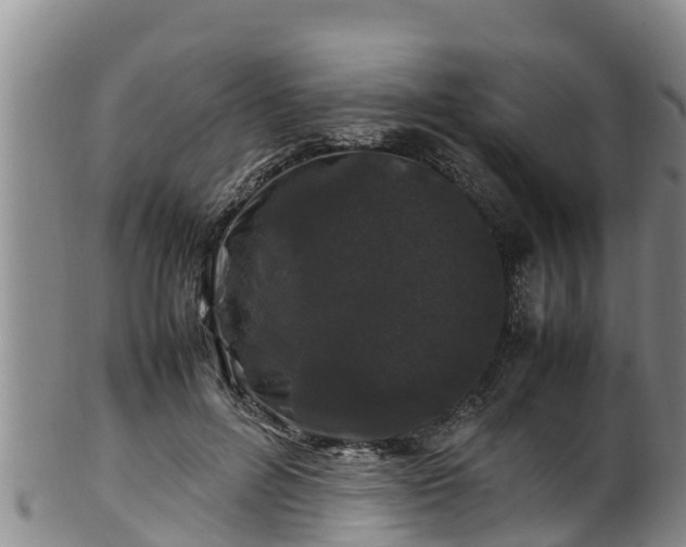 X0000100880600200806271139