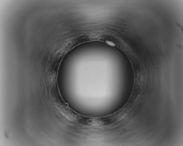 X0000100880601200806271139