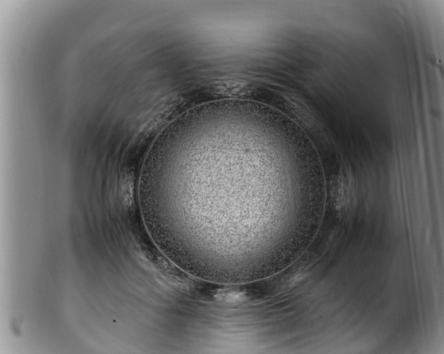 X0000100880602200806271139