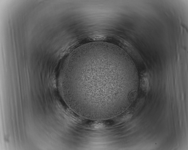 X0000100880604200806271139