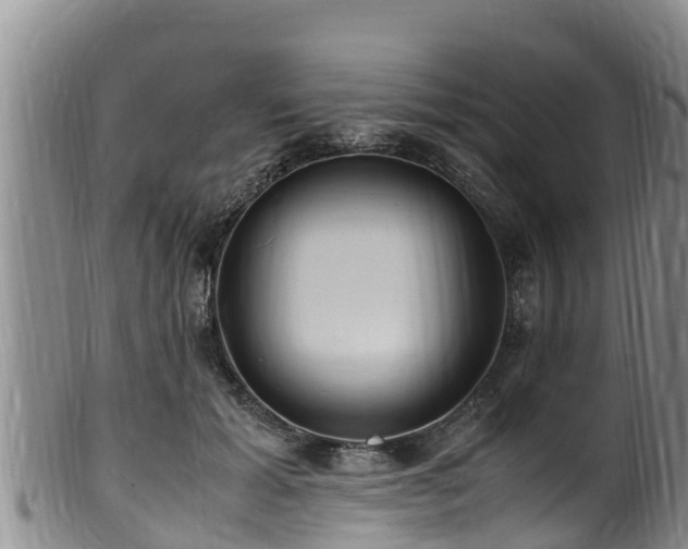 X0000100880605200806271139