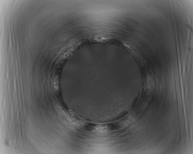 X0000100880606200806271139