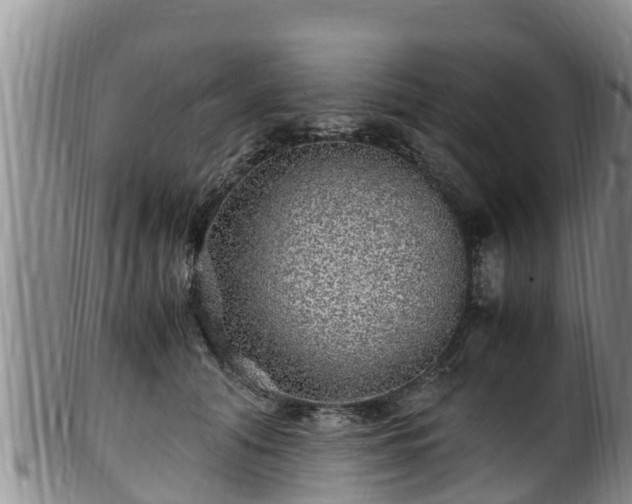 X0000100880608200806271139