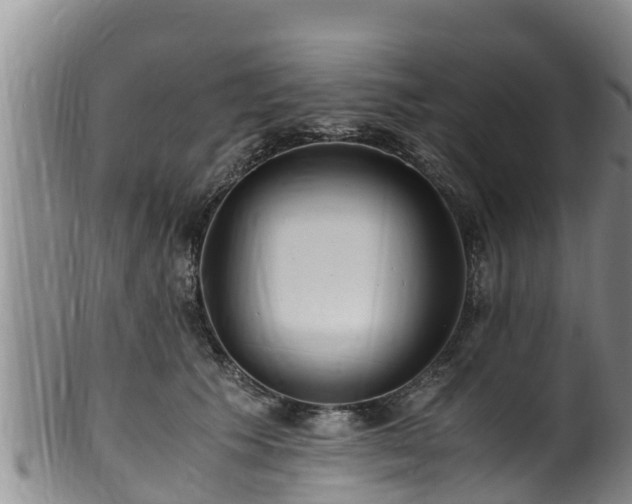 X0000100880609200806271139