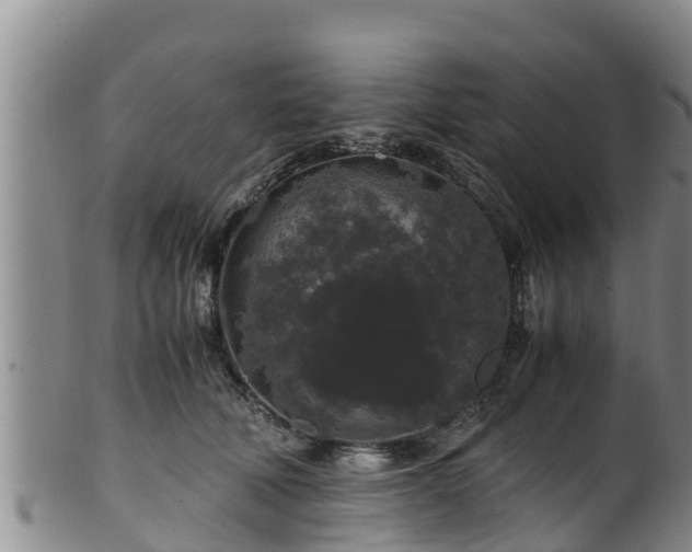 X0000100880610200806271139