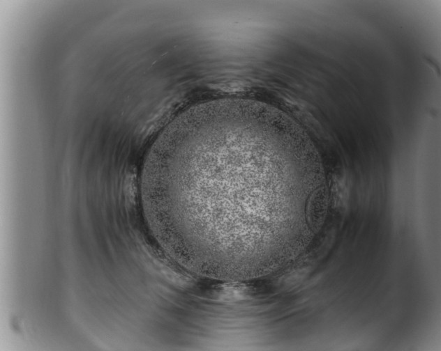 X0000100880612200806271139