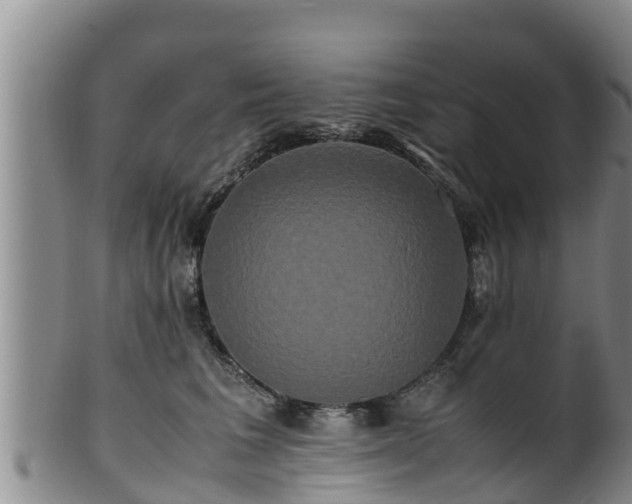 X0000100880613200806271139