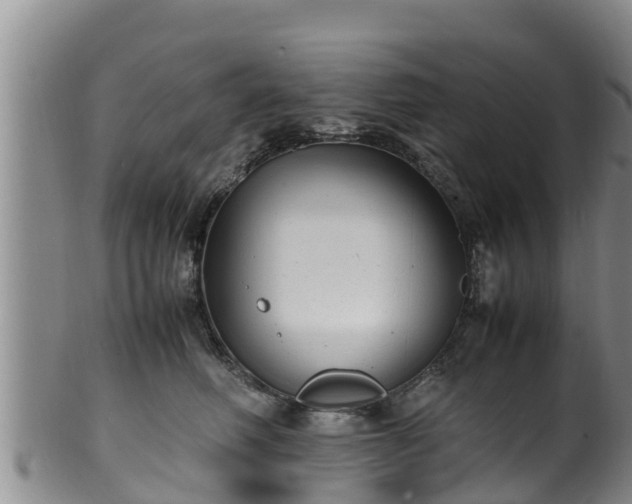 X0000100880614200806271139