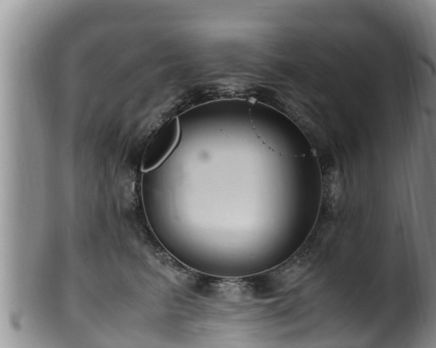 X0000100880615200806271139