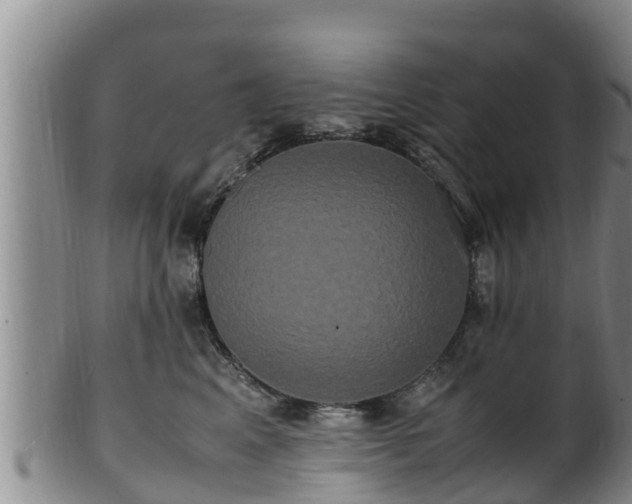 X0000100880617200806271139