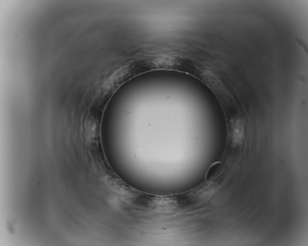 X0000100880619200806271139