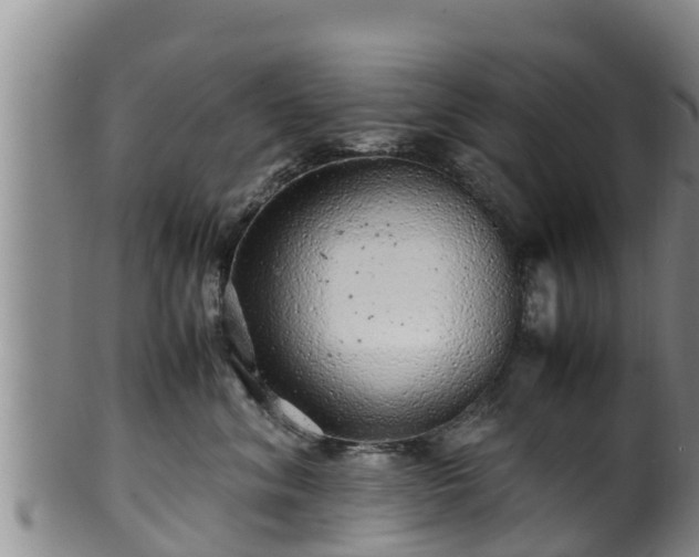 X0000100880620200806271139