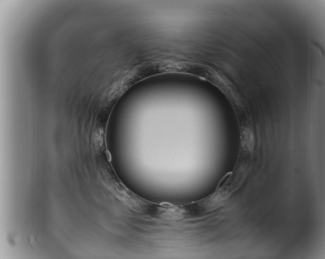 X0000100880621200806271139