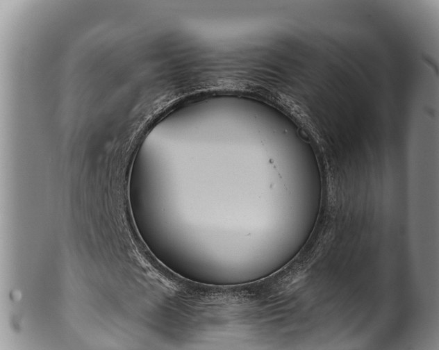 X0000100880625200806271138