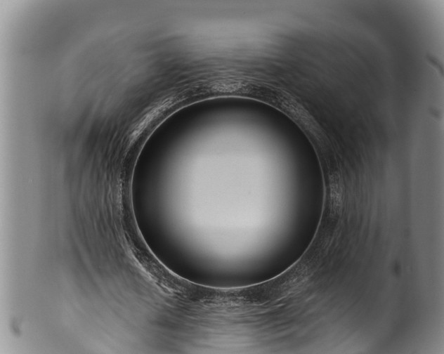 X0000100880626200806271138