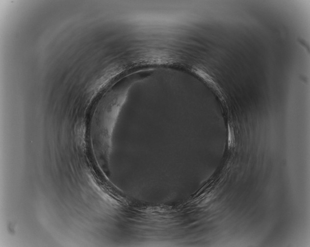 X0000100880627200806271138