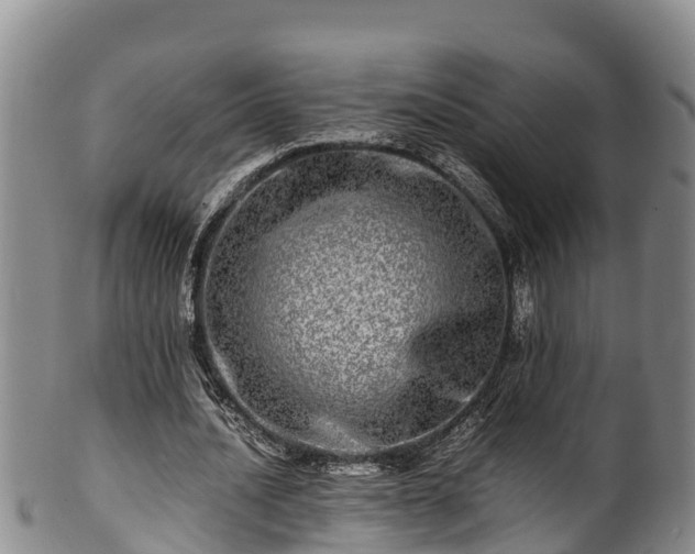 X0000100880628200806271138