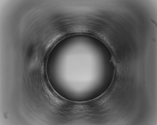 X0000100880629200806271138