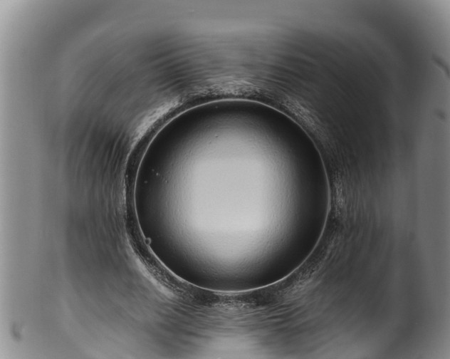 X0000100880630200806271138