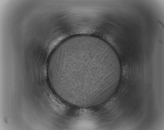 X0000100880632200806271138