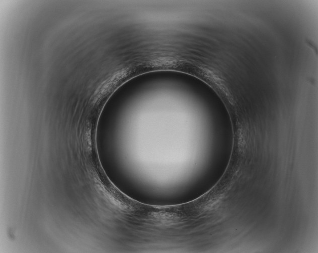 X0000100880633200806271138