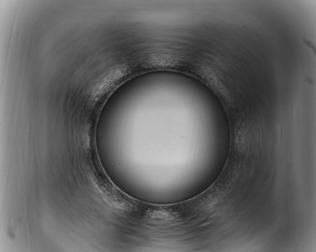 X0000100880635200806271138