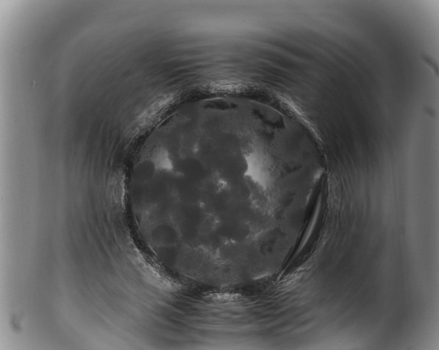 X0000100880637200806271139