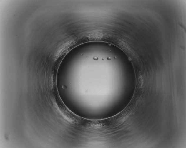 X0000100880638200806271139