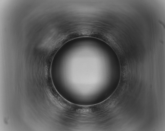 X0000100880639200806271139