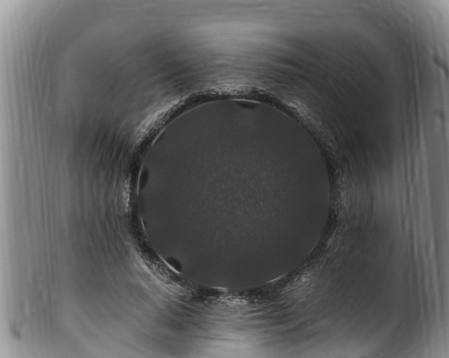 X0000100880640200806271139