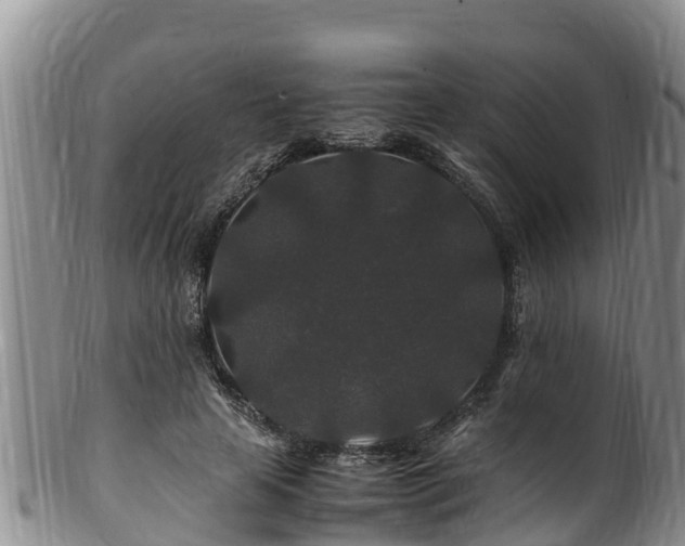 X0000100880641200806271139