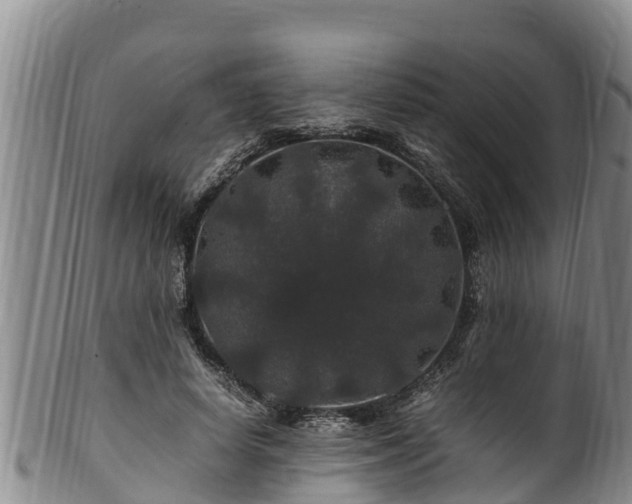 X0000100880642200806271139