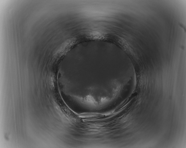 X0000100880643200806271139