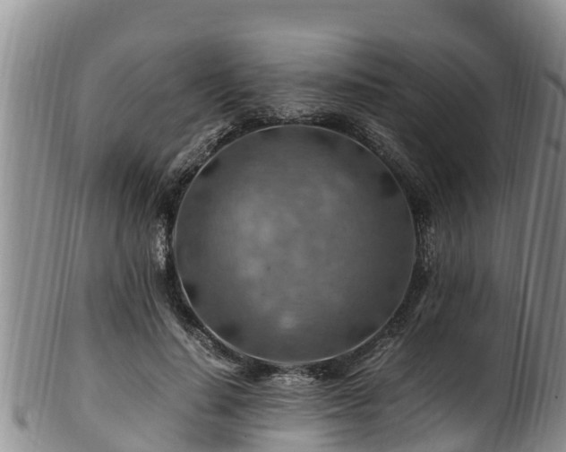 X0000100880644200806271139