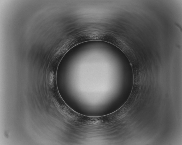 X0000100880646200806271139